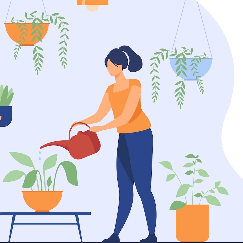 Vector drawing of a woman watering a houseplant while surounded by plants.
